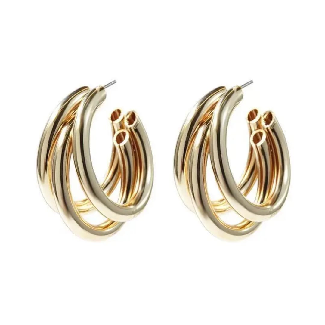 Elegant Earrings Gold / Silver